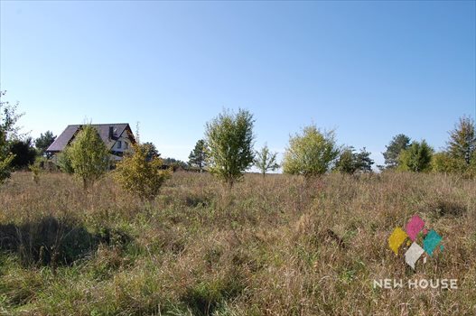 Działka budowlana na sprzedaż Wójtowo, Jarzębinowa 1 266m2 Foto 5