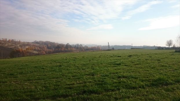 Działka budowlana na sprzedaż Komora, Graniczna 912m2 Foto 12