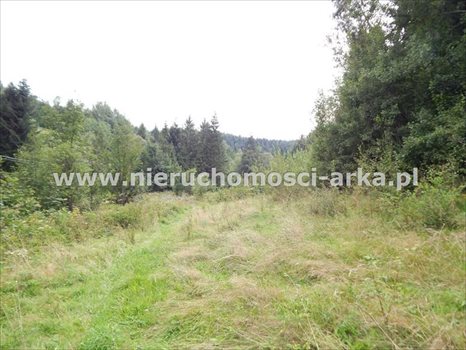 Działka inna na sprzedaż Szczawa 4 800m2 Foto 3