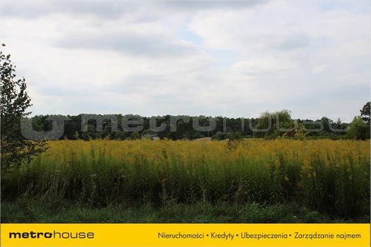 Działka inna na sprzedaż Łódź, Bałuty 5 000m2 Foto 2