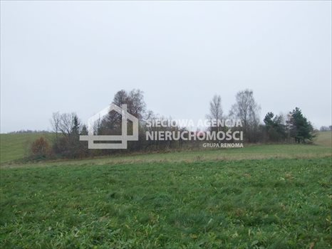 Działka rolna na sprzedaż Trzepowo 40 200m2 Foto 7