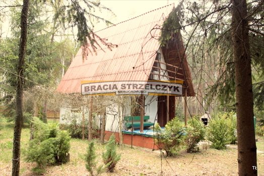 Działka inna na sprzedaż Wola Ducka 2 049m2 Foto 4