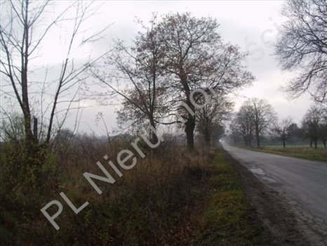 Działka budowlana na sprzedaż Józefatów 4 900m2 Foto 3