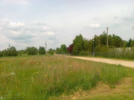 Działka budowlana na sprzedaż Golęczewo, Czeresniowa 1 423m2 Foto 2