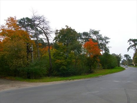 Działka budowlana na sprzedaż Otwock, Bolesława Chrobrego 4 732m2 Foto 5