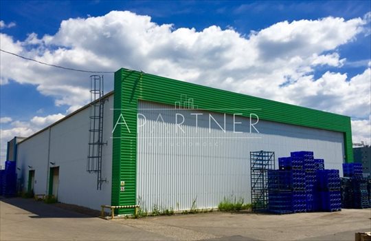 Lokal użytkowy na sprzedaż Chorzów 1 160m2 Foto 2