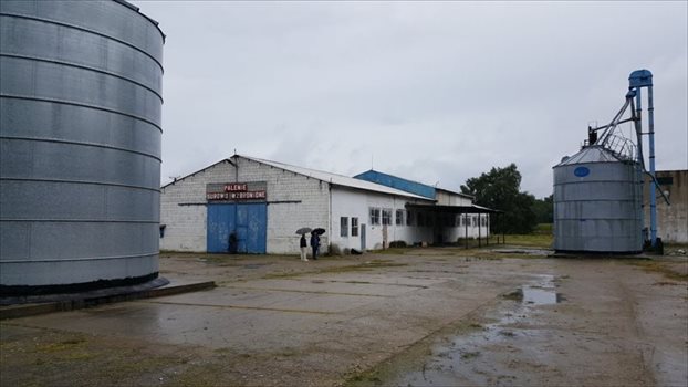 Lokal użytkowy na sprzedaż Szamotuły, Ludwikowo 4 200m2 Foto 1