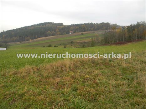 Działka budowlana na sprzedaż Żegocina 3 100m2 Foto 5