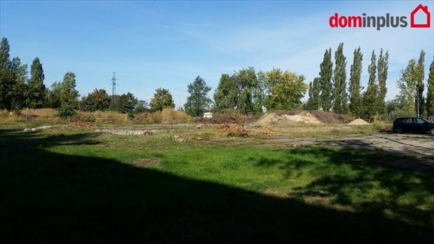 Działka inna na sprzedaż Toruń 1 000 000m2 Foto 2