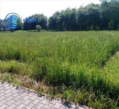 Działka budowlana na sprzedaż Warszawa, Wilanów, Ruczaj 1 200m2 Foto 1