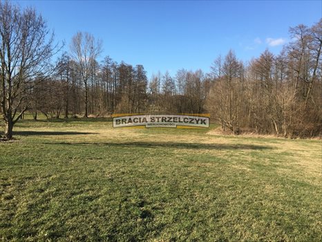 Działka inna na sprzedaż Górka Powielińska 5 500m2 Foto 3