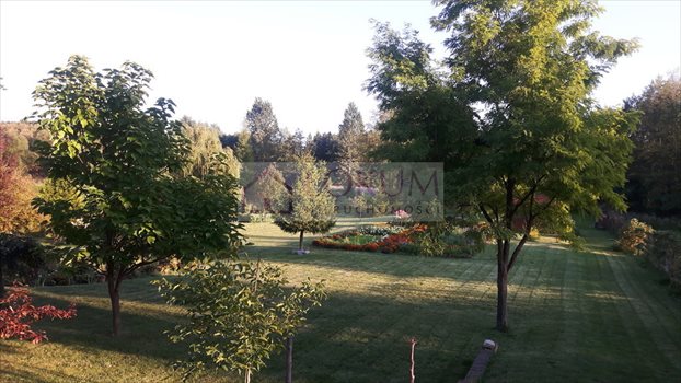 Działka rolna na sprzedaż Jastków 5 300m2 Foto 8