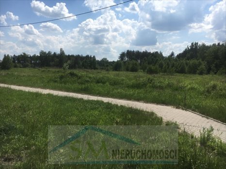 Działka przemysłowo-handlowa na sprzedaż Emilianów, wjazd z węzła trasy S8 Wola Rasztowska 56 264m2 Foto 3