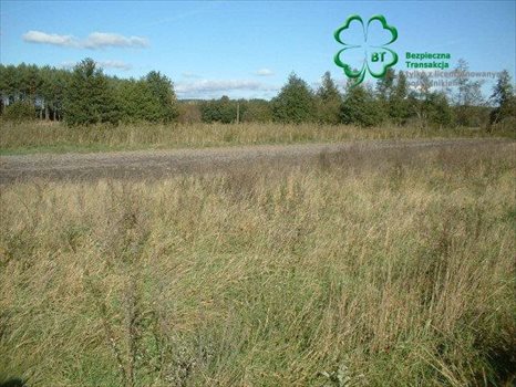 Działka budowlana na sprzedaż Silna, Silna 2 300m2 Foto 4