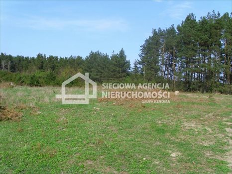Działka budowlana na sprzedaż Sitno 3 005m2 Foto 1