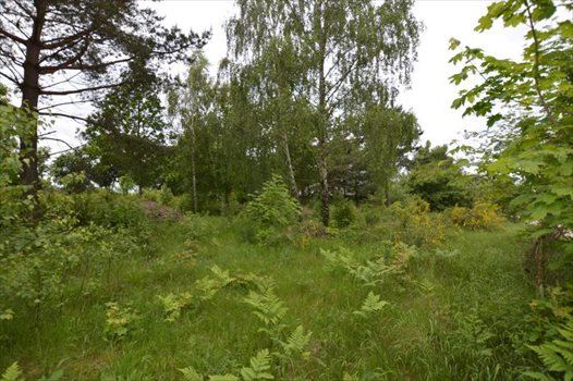 Działka budowlana na sprzedaż Bojano, Las, Tereny rekreacyjne, Lesoki 1 500m2 Foto 9