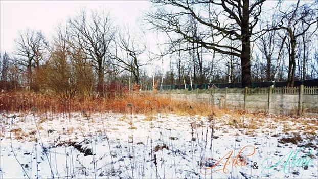 Działka inna na sprzedaż Zabrze, Śródmieście 5 635m2 Foto 6