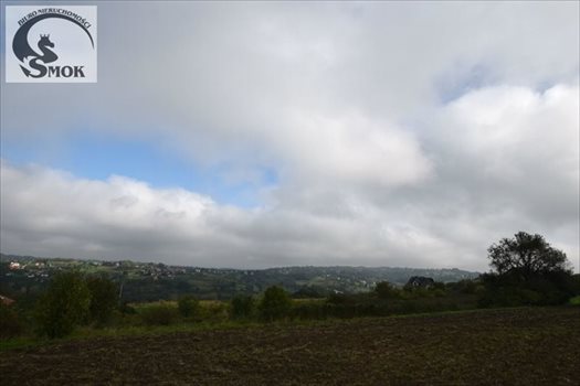 Działka budowlana na sprzedaż Golkowice 4 700m2 Foto 2