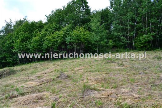 Działka rolna na sprzedaż Pasierbiec 680m2 Foto 6