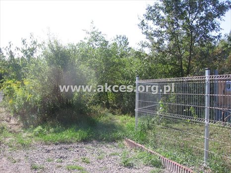 Działka budowlana na sprzedaż Łoś, Łoś, Polna 933m2 Foto 7