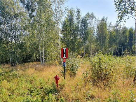 Działka budowlana na sprzedaż Bielkówko, Las 3 003m2 Foto 2