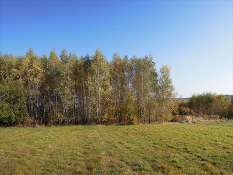 Dom na sprzedaż Kramarzówka 180m2 Foto 13
