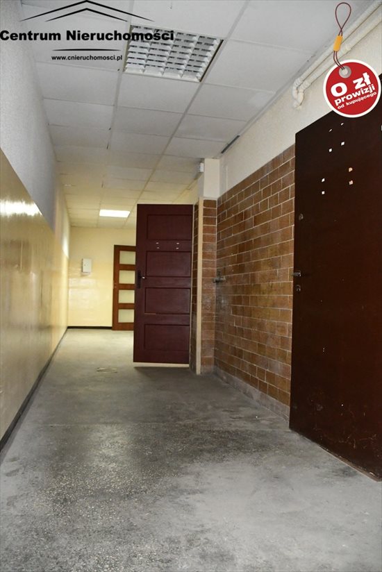 Lokal użytkowy na wynajem Świecie 1 600m2 Foto 6