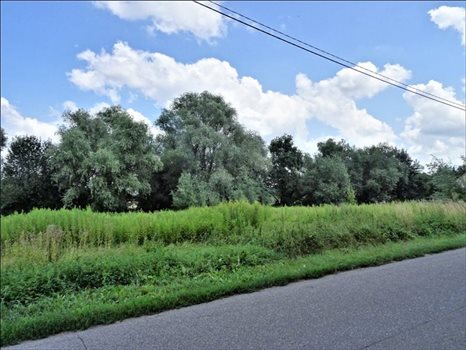 Działka budowlana na sprzedaż Dębówka, Dębówka, Dębówka 23 300m2 Foto 3