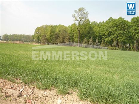 Działka budowlana na sprzedaż Ramułtowice, Ramułtowice 2 900m2 Foto 1