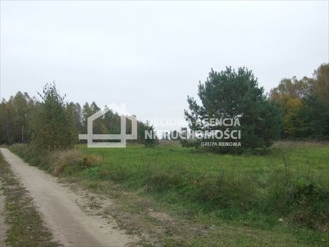 Działka budowlana na sprzedaż Ramleje 3 096m2 Foto 4