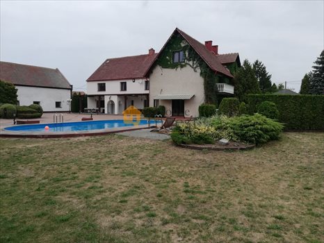 Dom na wynajem Dąbie 450m2 Foto 1