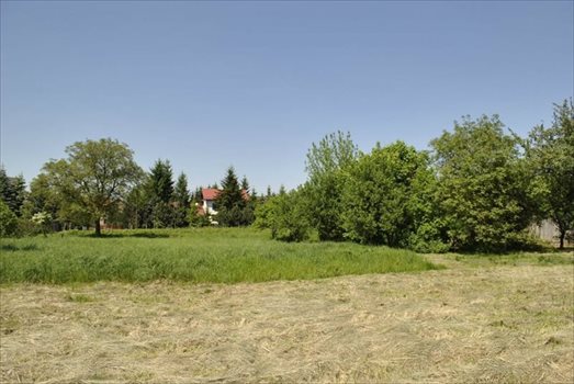 Działka budowlana na sprzedaż Brzozówka Korzkiewska 1 350m2 Foto 1
