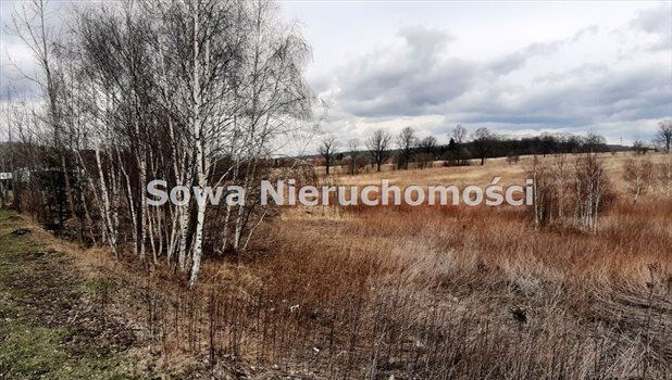 Działka inna na sprzedaż Wałbrzych, Biały Kamień 8 563m2 Foto 1