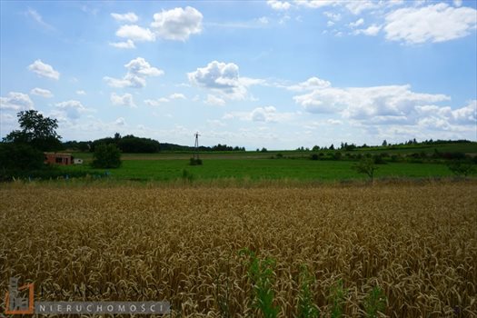 Działka budowlana na sprzedaż Bębło 2 900m2 Foto 5