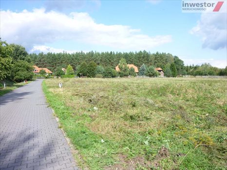Działka budowlana na sprzedaż Wołczkowo 3 001m2 Foto 3