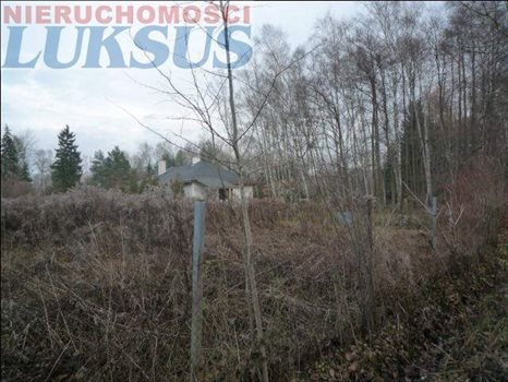 Działka budowlana na sprzedaż Złotokłos, Złotokłos 1 766m2 Foto 3