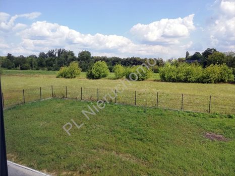 Dom na sprzedaż Błonie-Wieś 135m2 Foto 8