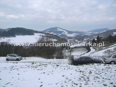 Działka budowlana na sprzedaż Walowa Góra 4 800m2 Foto 5