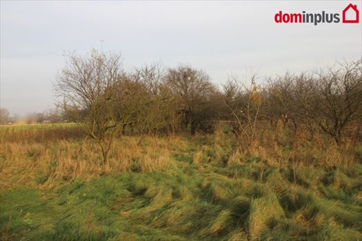Działka inna na sprzedaż Mała Nieszawka 4 900m2 Foto 2