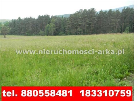 Działka budowlana na sprzedaż Kasina Wielka 2 325m2 Foto 3