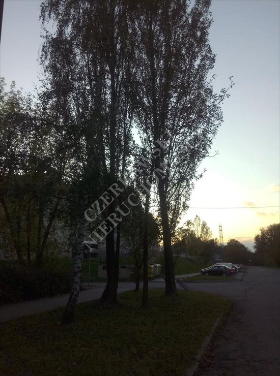 Działka inna na sprzedaż Zabrze, Zaborze 4 900m2 Foto 7