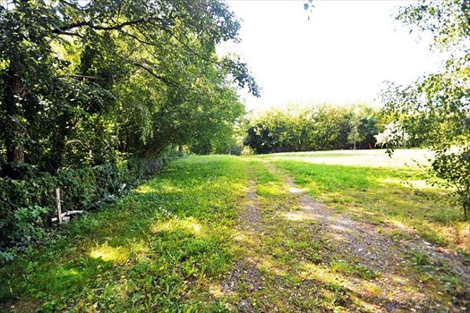Działka budowlana na sprzedaż Płock 5 000m2 Foto 2