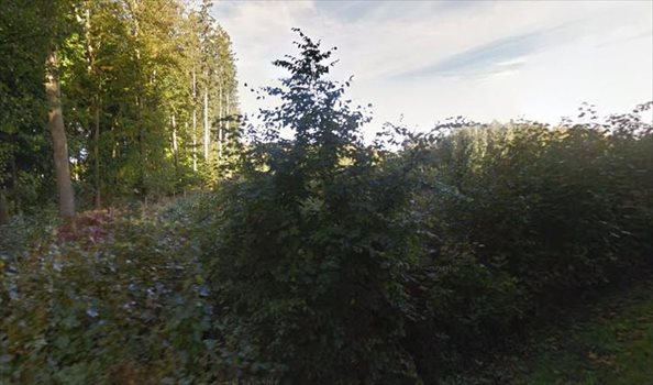 Działka rolna na sprzedaż Kępice, Mzdowo 38 600m2 Foto 4