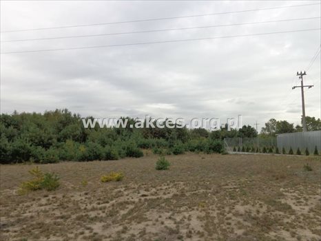 Działka budowlana na sprzedaż Prace Duże 1 445m2 Foto 4