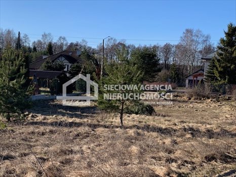 Działka budowlana na sprzedaż Sitno 818m2 Foto 2
