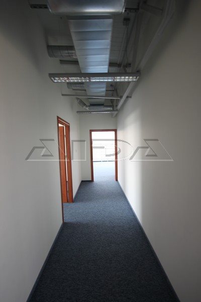 Lokal użytkowy na wynajem Wrocław, Psie Pole, Bolesława Krzywoustego 240m2 Foto 3