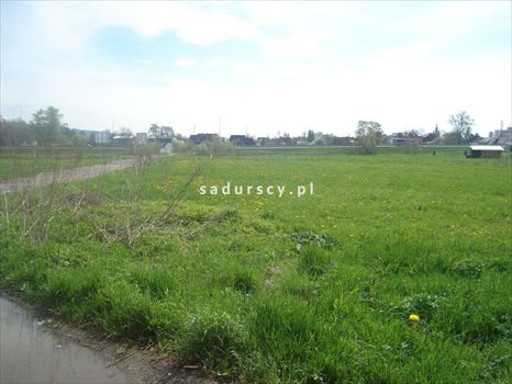 Działka inwestycyjna na sprzedaż Nowy Targ, Ibisor 3 910m2 Foto 2