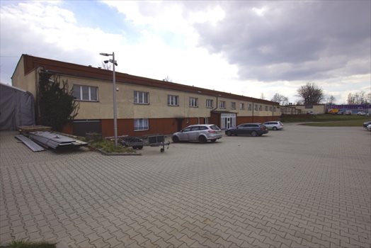 Lokal użytkowy na sprzedaż Chorzów 1 105m2 Foto 12
