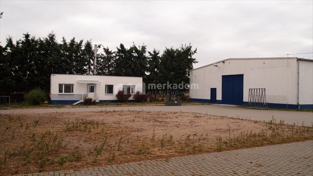 Lokal użytkowy na sprzedaż Buk 1 500m2 Foto 2