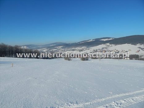 Działka budowlana na sprzedaż Mszana Dolna 2 300m2 Foto 4